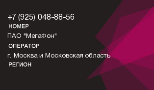 9250488856